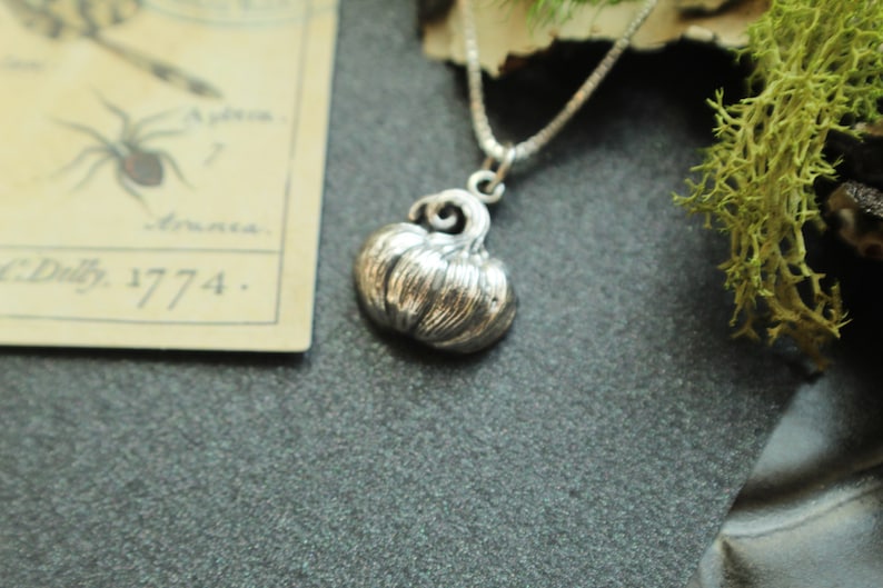 May include: A silver pumpkin charm necklace. The pumpkin is detailed with ridges and a stem.