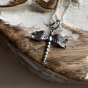 May include: A silver chain necklace with a dragonfly pendant. The dragonfly is detailed and has a textured finish.
