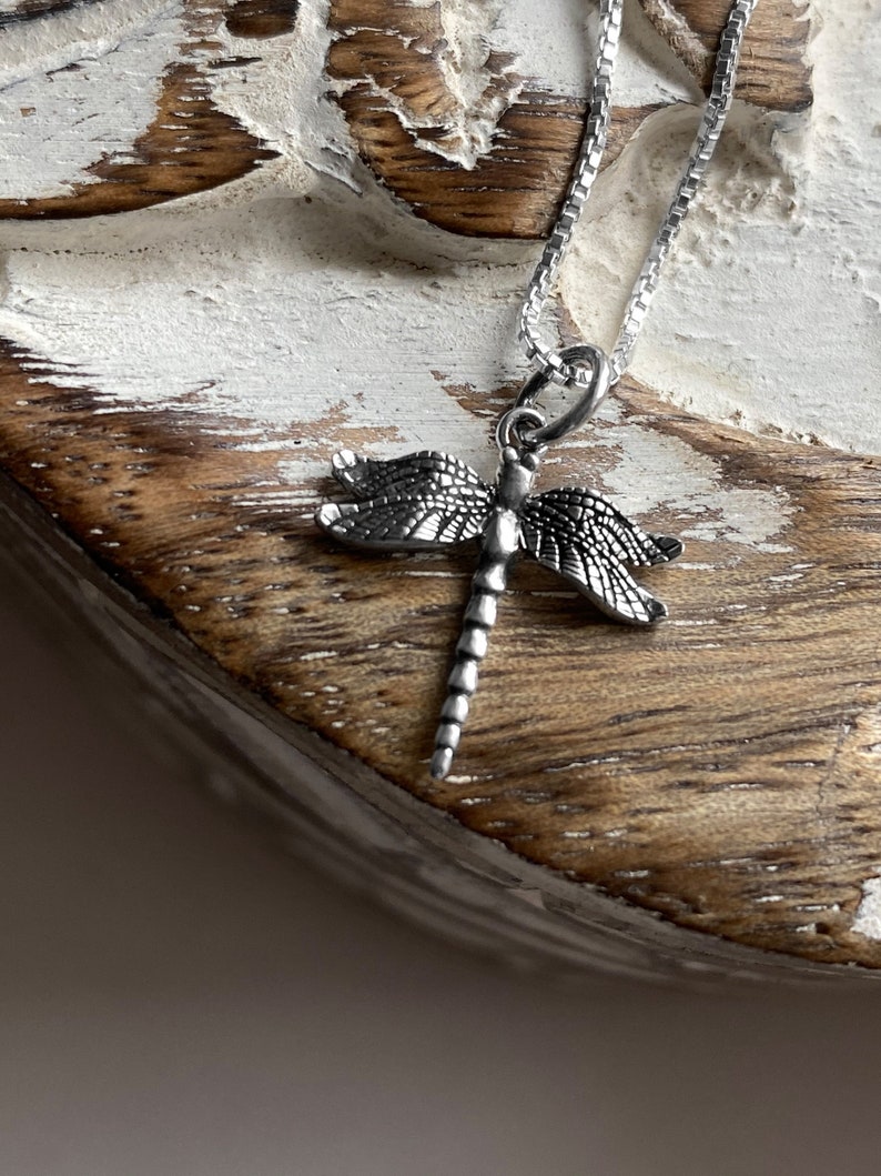 May include: A silver chain necklace with a dragonfly pendant. The dragonfly is detailed and has a textured finish.