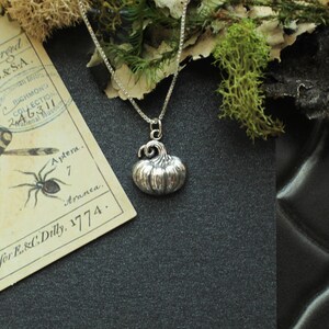 May include: A silver necklace with a detailed pumpkin charm. The necklace is on a black background with a piece of moss and a vintage insect illustration card.