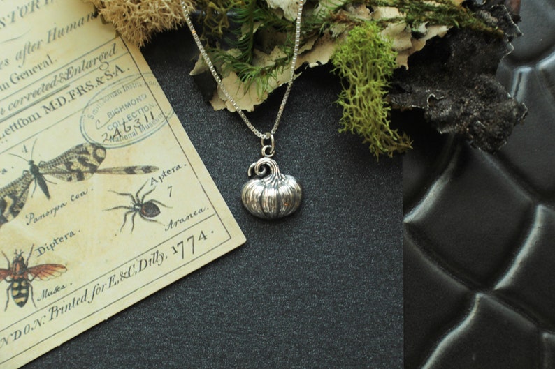 May include: A silver necklace with a detailed pumpkin charm. The necklace is on a black background with a piece of moss and a vintage insect illustration card.