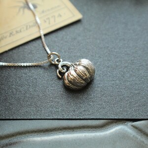 May include: A silver necklace with a detailed pumpkin charm. The charm is three-dimensional and has a textured surface.