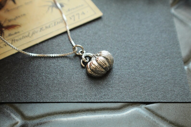 May include: A silver necklace with a detailed pumpkin charm. The charm is three-dimensional and has a textured surface.