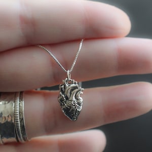 Collar con forma de corazón anatómico: joyería anatómica de plata de ley o chapada en oro.