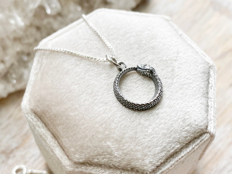 May include: A silver necklace with a snake pendant. The snake is curled into a circle and its tail is in its mouth. The necklace is on a white velvet background.