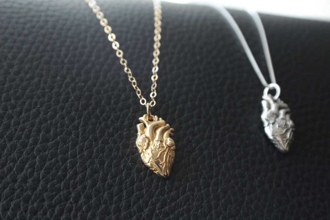 Sterling Silver or Gold Filled Anatomical Heart Necklace. Anatomy ...