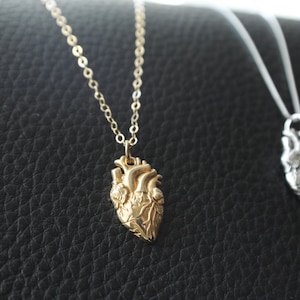 Sterling Silver or Gold Filled Anatomical Heart Necklace. Anatomy Jewelry, Heart Necklace, Sterling Heart