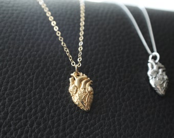 Sterling Silver or Gold Filled Anatomical Heart Necklace. Anatomy Jewelry, Heart Necklace, Sterling Heart