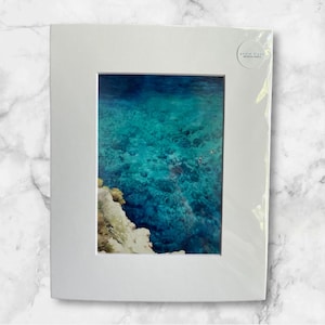 Swimming Art- Two in the Sea-  ARCHIVAL PRINT
