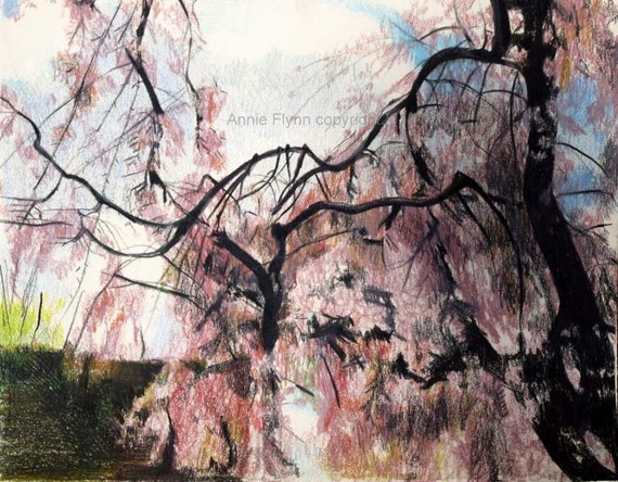 Archival Print Of Original Cherry Blossom Number 2 Etsy