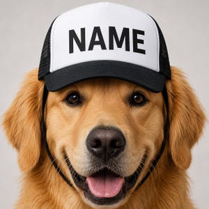 May include: A white and black trucker cap featuring the word NAME in bold black capital letters on the front panel. The cap has a solid white front, a black brim, and black mesh side and back panels, worn by a golden-coloured dog.