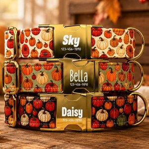 Pumpkin Patch Dog Collar with Leash: Personalized metal buckle, made in the USA, TPKC-10