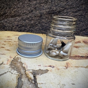 May include: A small, clear glass jar filled with several teeth, next to a silver metal lid. The teeth are off-white with dark roots. The jar sits on a light-colored, textured surface.