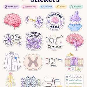 Könnte beinhalten: Eine Sammlung von Neurowissenschafts-Aufklebern mit Illustrationen von Gehirnen, Neuronen, chemischen Strukturen für Serotonin und Dopamin, Laborkittel, Rückenmarkquerschnitt, neuronalem Netzwerk, Aktionspotenzial-Diagramm und Gehirnwellenmustern.