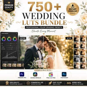 750+ Wedding LUTs Bundle | Professional .CUBE LUTs | Lightroom Premiere Pro DaVinci Resolve Final Cut Pro  Wedding Photo Video Color Grading