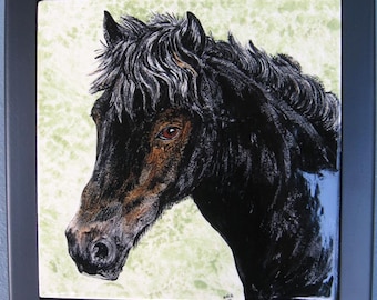 HORSE or Pony PORTRAIT TILES - 8" - Framed