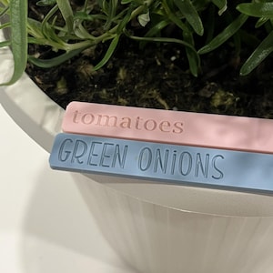 May include: Two plant markers, one pink and one blue, with the words "tomatoes" and "GREEN ONIONS" printed on them.
