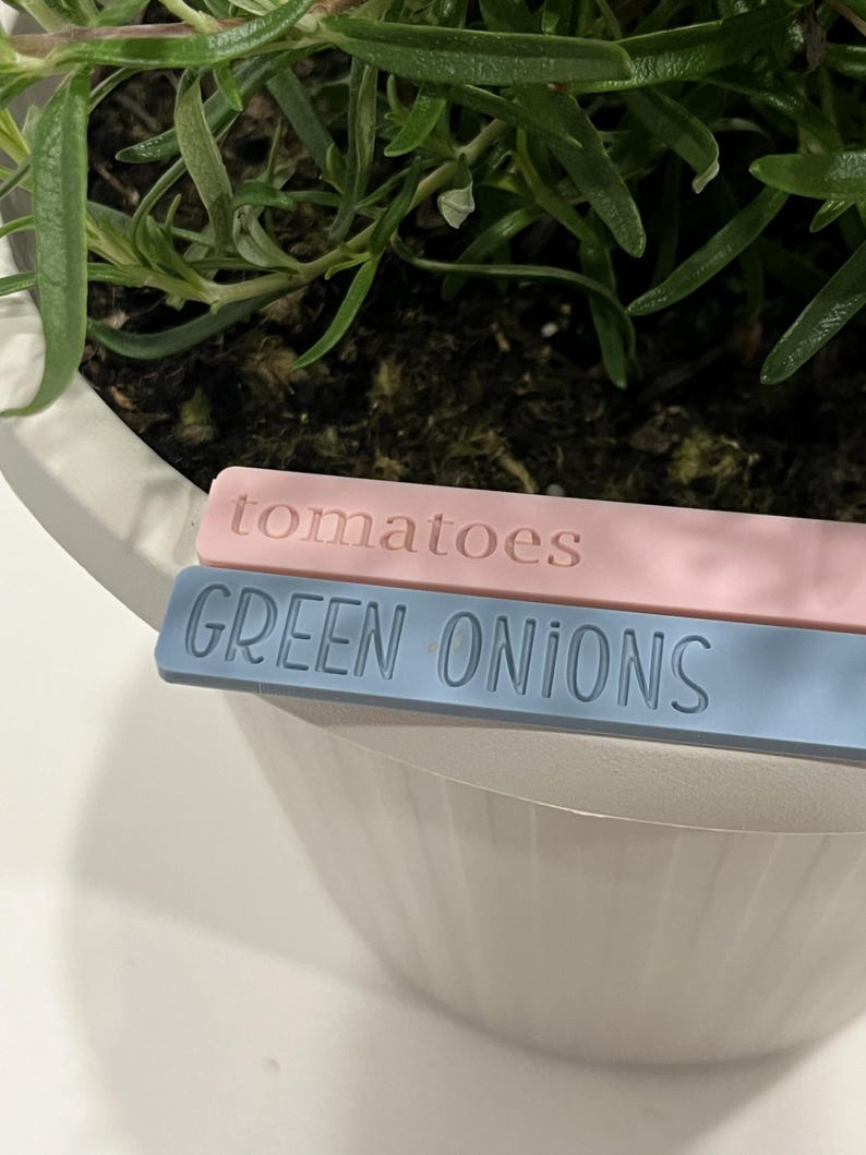 May include: Two plant markers, one pink and one blue, with the words "tomatoes" and "GREEN ONIONS" printed on them.