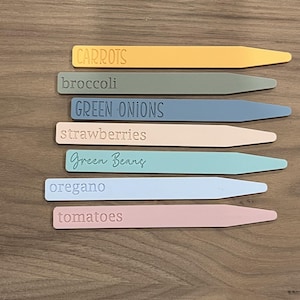 May include: Seven colorful plant markers with different names written on them: Carrots, broccoli, Green Onions, strawberries, Green Beans, oregano, and tomatoes.
