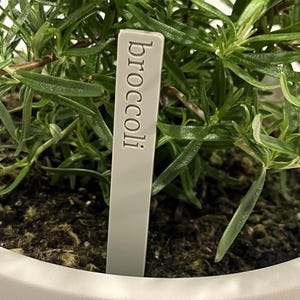 May include: A white plant marker with the word "broccoli" written on it, inserted into the soil of a potted plant.