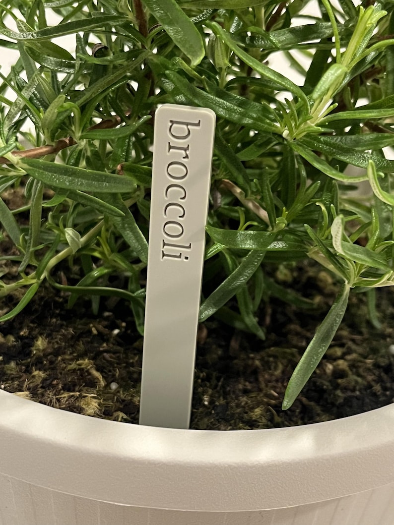 May include: A white plant marker with the word "broccoli" written on it, inserted into the soil of a potted plant.