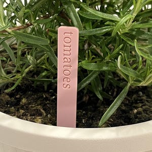 May include: A pink plant marker with the word "tomatoes" written on it. The marker is inserted into the soil of a potted plant.