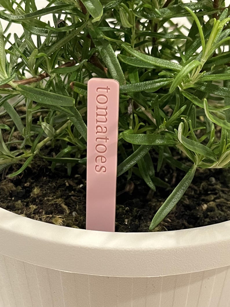 May include: A pink plant marker with the word "tomatoes" written on it. The marker is inserted into the soil of a potted plant.