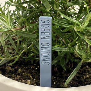 May include: A blue plant marker with the text "GREEN ONIONS" printed on it. The marker is inserted into a pot of green plants.