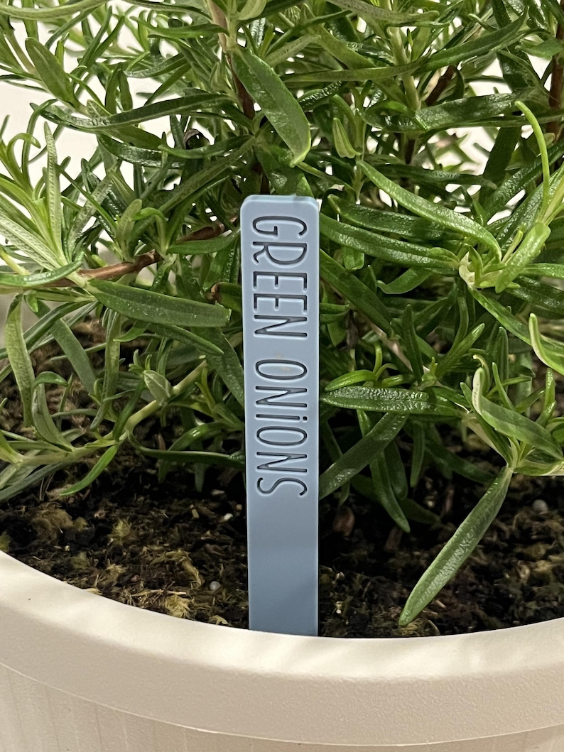 May include: A blue plant marker with the text "GREEN ONIONS" printed on it. The marker is inserted into a pot of green plants.