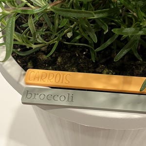 May include: Two plant markers, one orange and one gray, with the words "CARROTS" and "broccoli" printed on them.