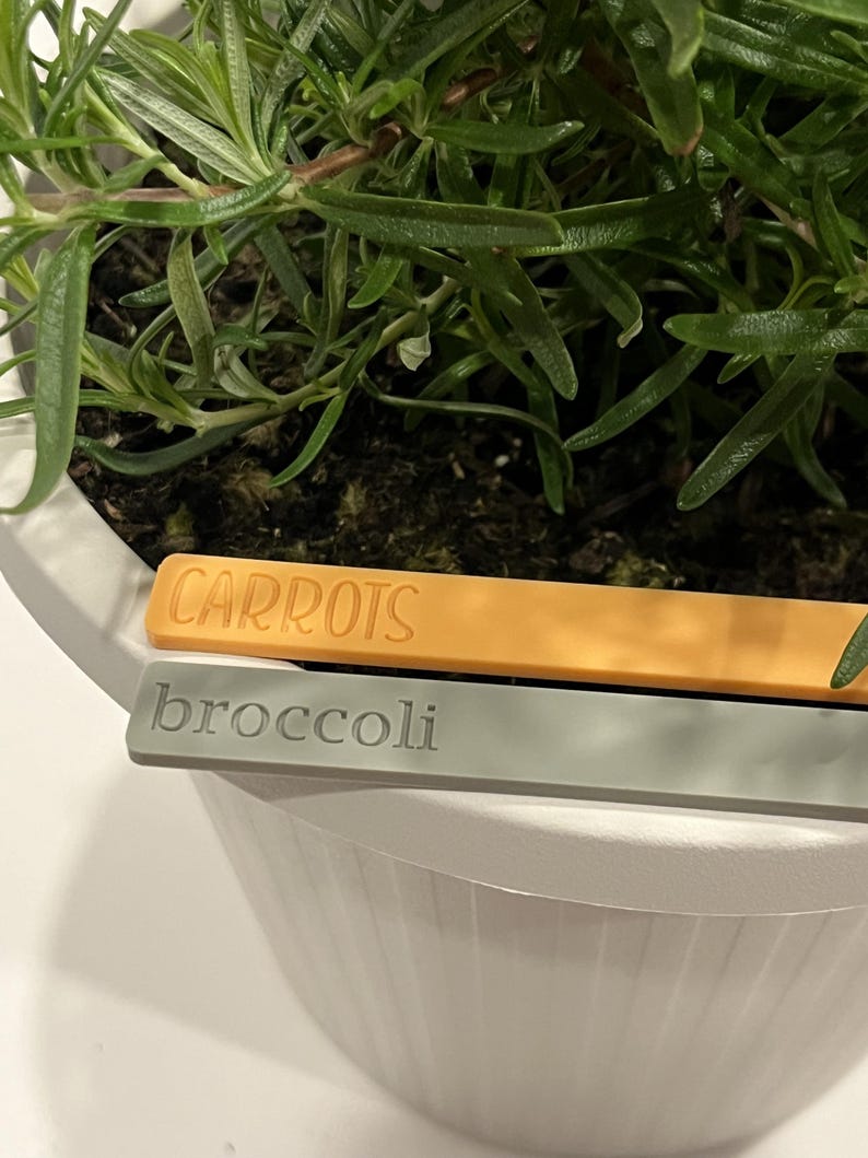 May include: Two plant markers, one orange and one gray, with the words "CARROTS" and "broccoli" printed on them.