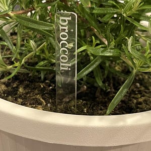 May include: A white plastic plant marker with the word "broccoli" printed on it. The marker is inserted into the soil of a potted plant.