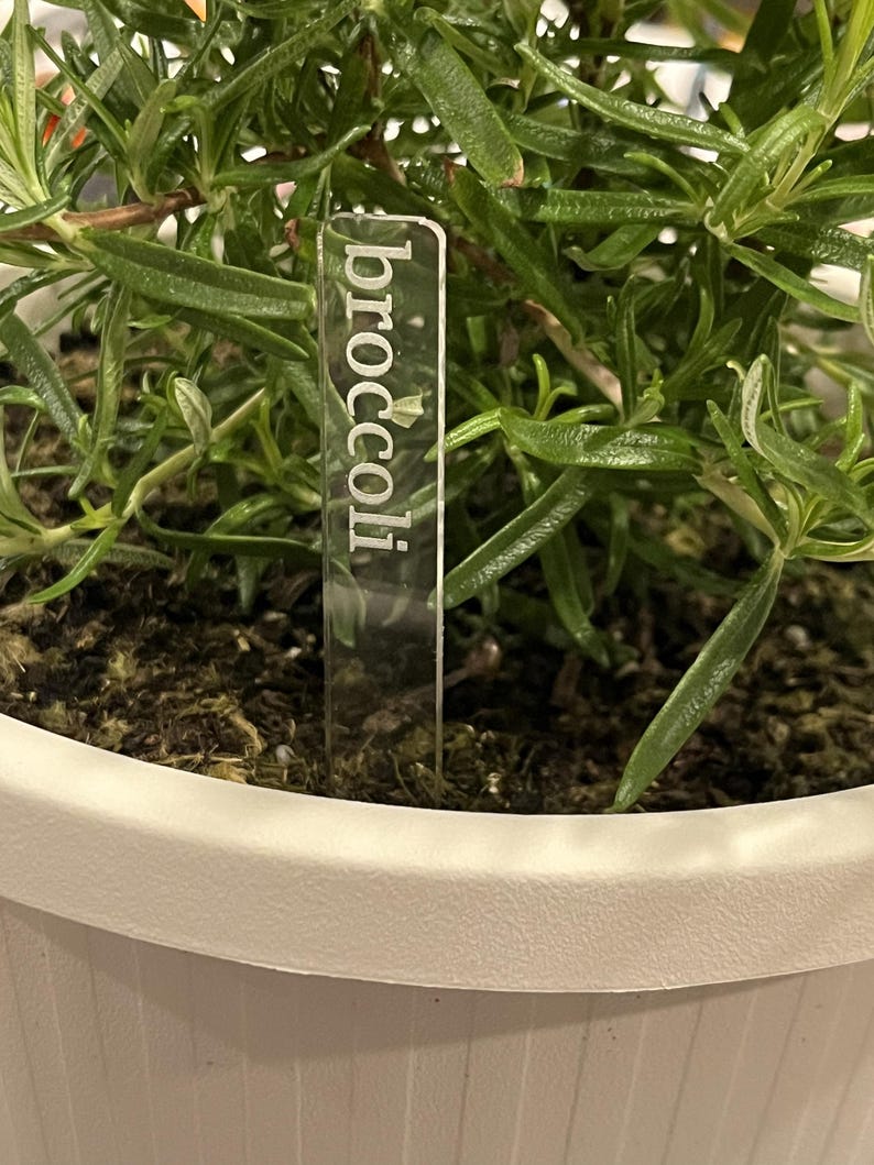 May include: A white plastic plant marker with the word "broccoli" printed on it. The marker is inserted into the soil of a potted plant.