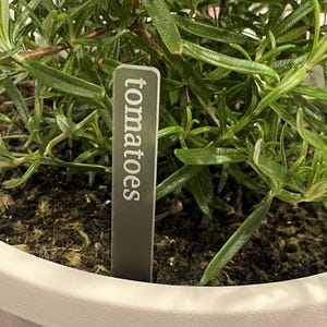 May include: A close-up of a silver plant marker with the word "tomatoes" written on it. The marker is inserted into the soil of a potted plant.