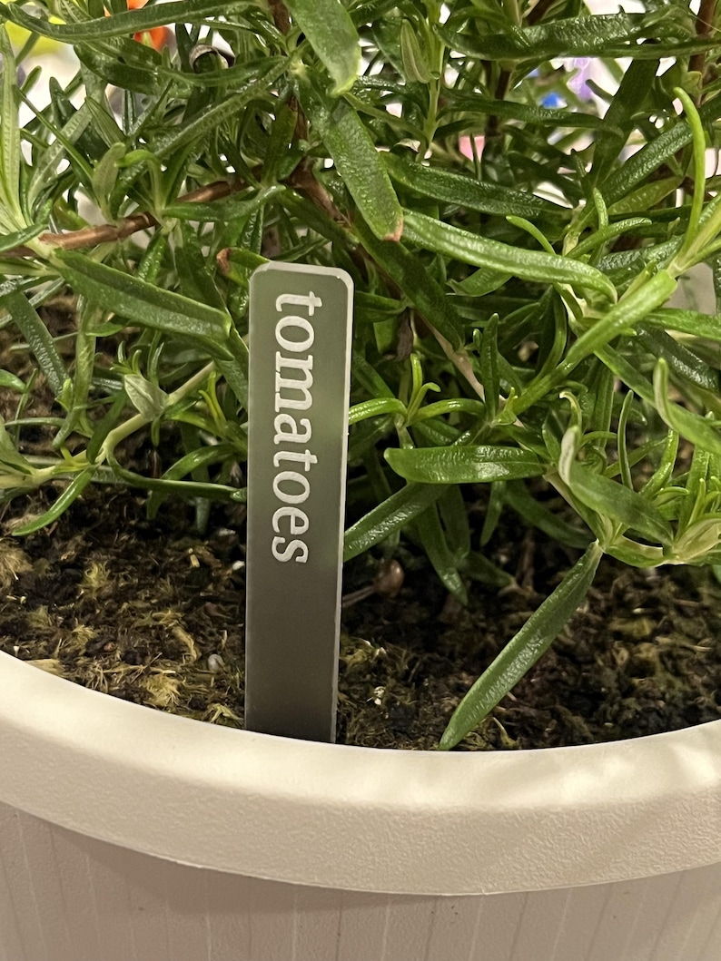 May include: A close-up of a silver plant marker with the word "tomatoes" written on it. The marker is inserted into the soil of a potted plant.