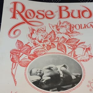 Antique 1907 Sheet Music Rose Bud Polka