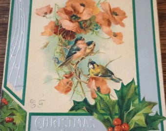 Antique Christmas Postcard Birds and Poppies Embossed Printed in Germany