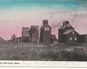Antique 1910 Elevators Maynard Minnesota Postcard Hand Colored