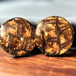 Vintage Lucite Mid Century Clip On Earrings
