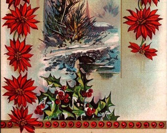 Antique 1900's Embossed Poinsettia Postcard Ephemera