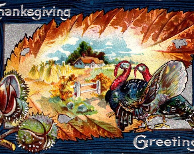 Antique 1900's Embossed Thanksgiving Turkey Postcard - Etsy