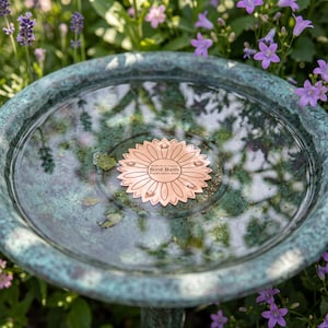 Pode incluir: Um disco de metal cor de cobre em forma de flor com pétalas pontiagudas, submerso num banho para pássaros com pátina azul-esverdeada. O disco apresenta o texto 99.9% Pure Copper Bird Bath Purification Disk gravado no centro.