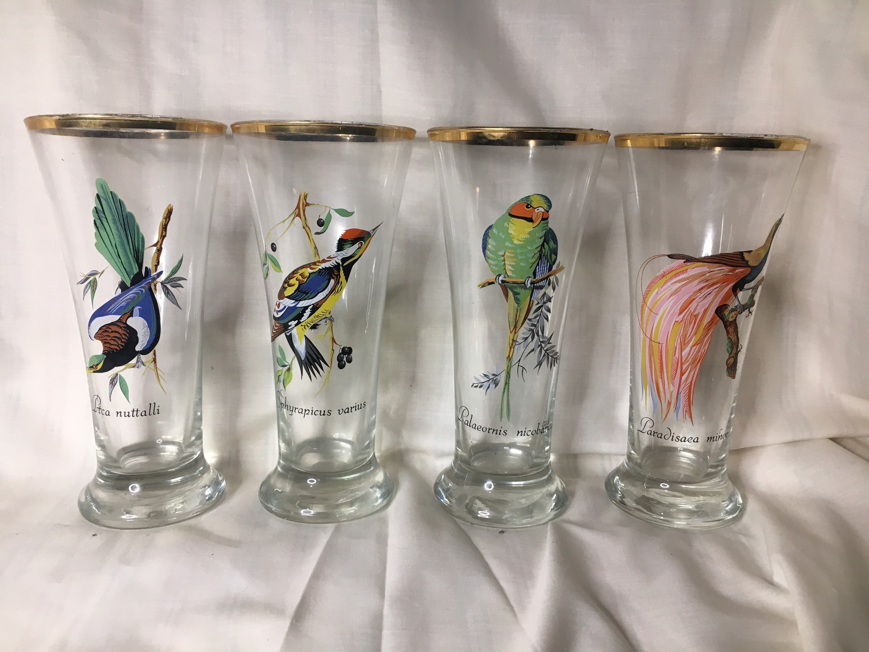 Vintage Exotic Birds Set of 4 Glasses with gold gilt. Beer Etsy