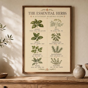 Guida all'abbinamento delle erbe aromatiche, poster culinario, manuale di riferimento botanico vintage per la cucina.