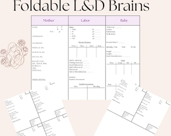 Labor and Delivery Nursing Brain BUNDLE !!