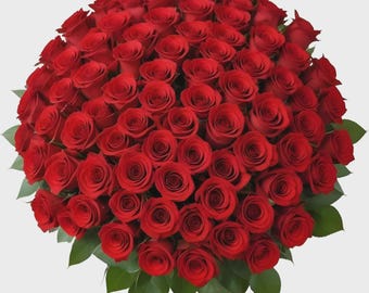 100 Fresh Red Roses Bouquet – Luxury Anniversary & Birthday Gift Delivery.