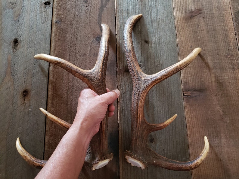 Real Red Stag Antler Handle Set Matched For Doors Pulls Refrigerator Man Cave Room Hunting Lodge Cabin Log Home Barn