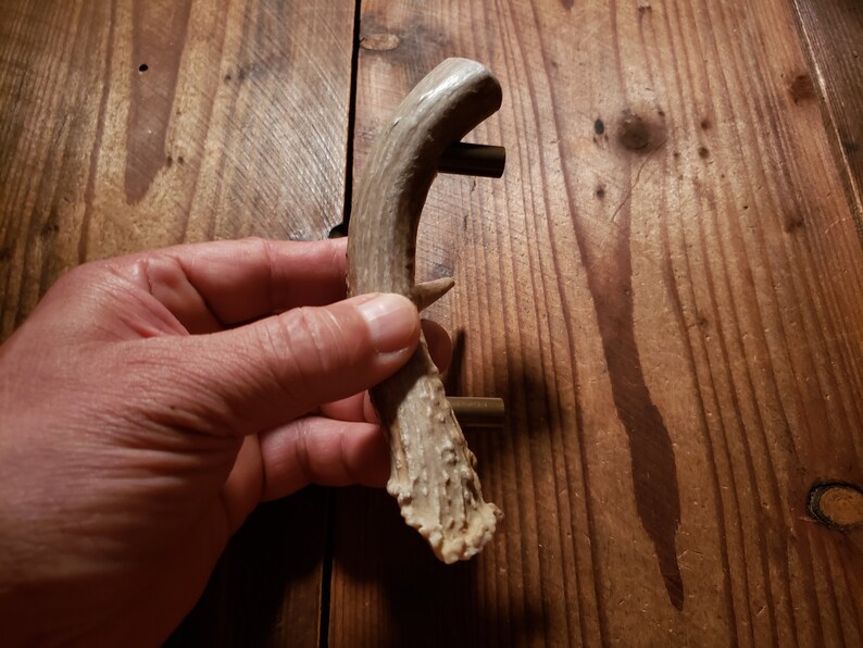 Deer Antler Pull Shed Antler Antler Drawer Pull Cabinet Pull