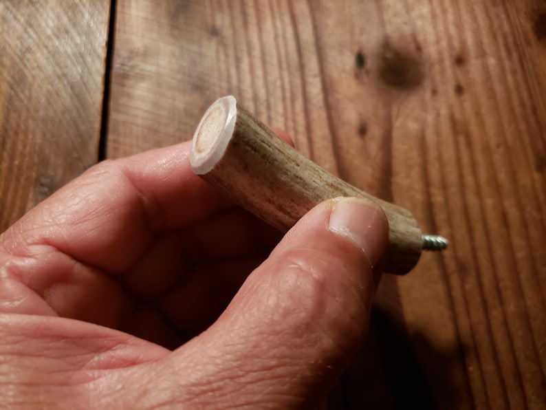 Real 3 Angled Antler Wall Hook Screw Into Wood or Stud Etsy