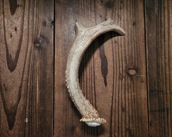 Antler Door Handle, 9" Real 3 pt Whitetail Deer Antler, Barn Door, Cabin, Gun Cabinet, Man Cave, Work Shed, Tree House, Cabin Decor #H5